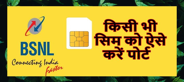 port vodafone, airtel sim to BSNL